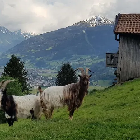 Schrockgut Appartement *