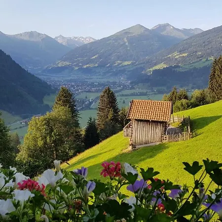 Appartement Schrockgut *